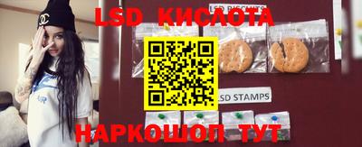мяу мяу мука Камышлов
