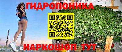 крисы Канаш