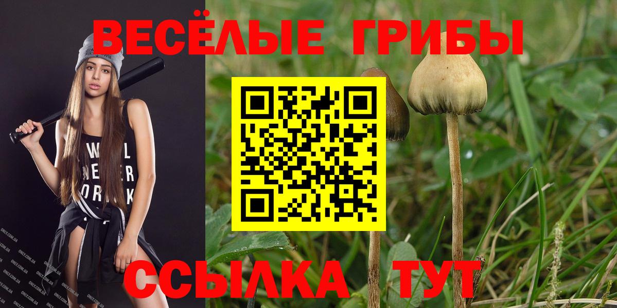 Кузнецк  Галлюциногенные грибы мухоморы  Вход с VPN  Галлюциногенные грибы прущие грибы 